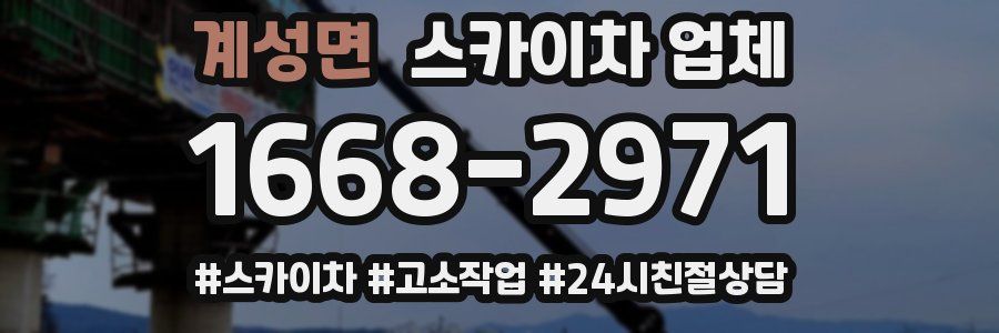 계성면 스카이차 업체