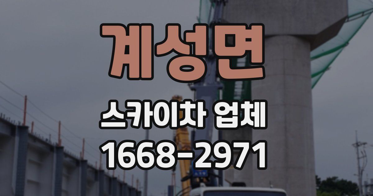 계성면 스카이차 업체