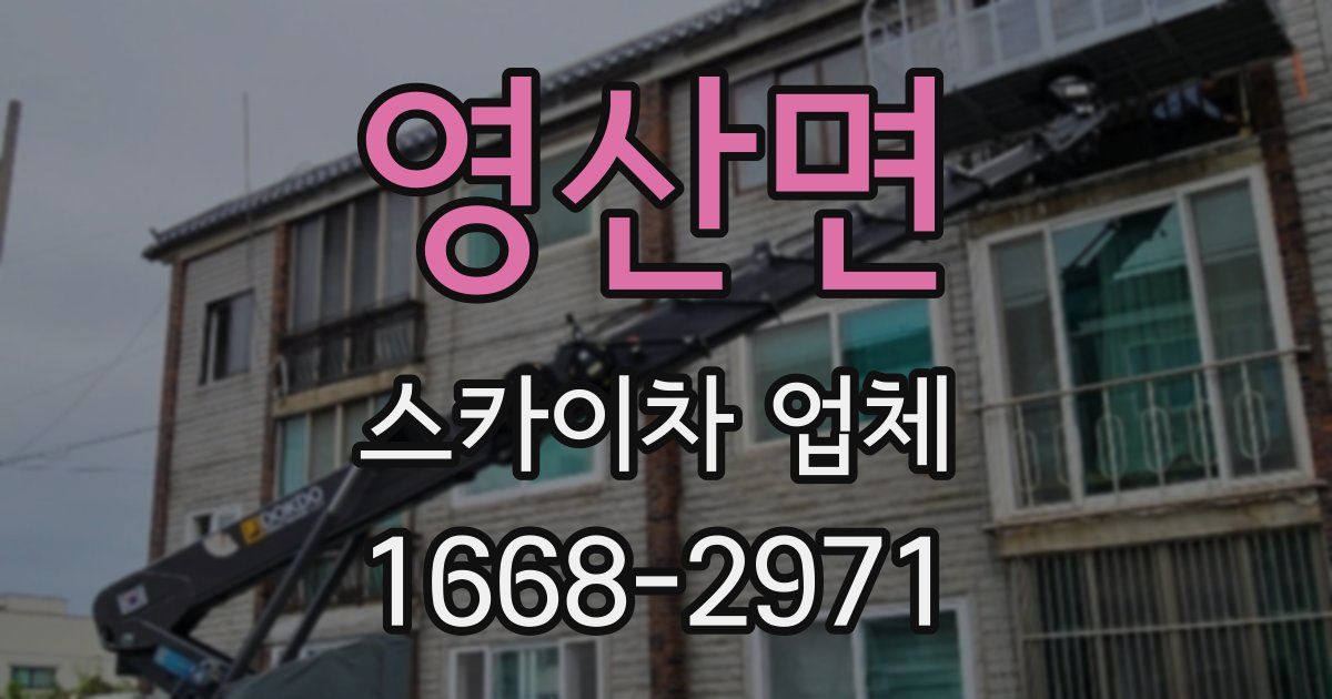 영산면 스카이차 업체