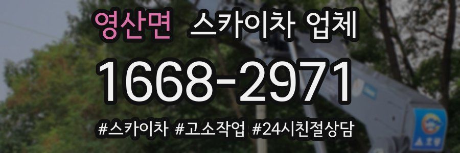 영산면 스카이차 업체