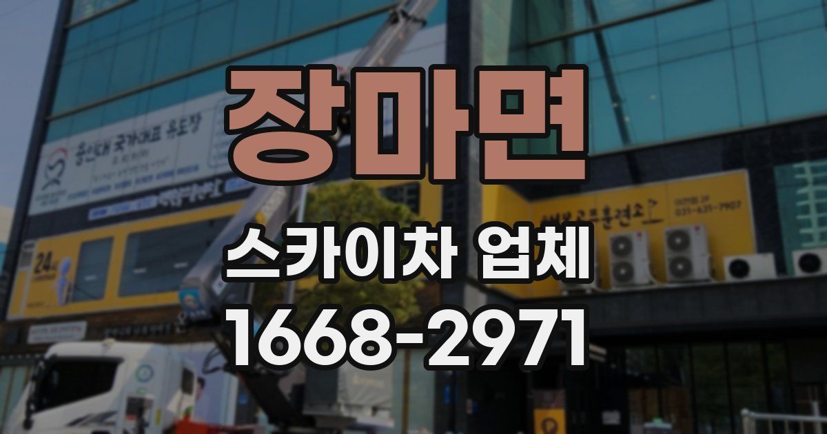 장마면 스카이차 업체