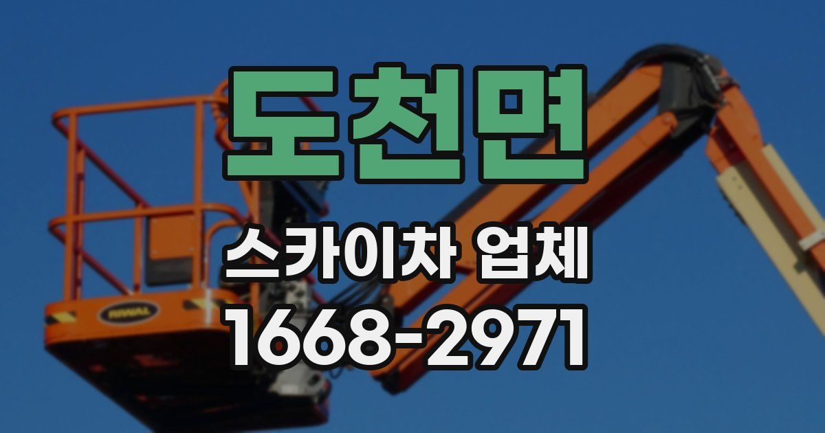 도천면 스카이차 업체