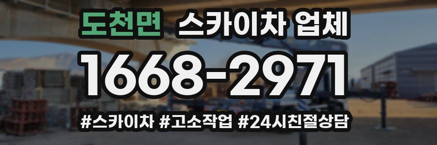 도천면 스카이차 업체