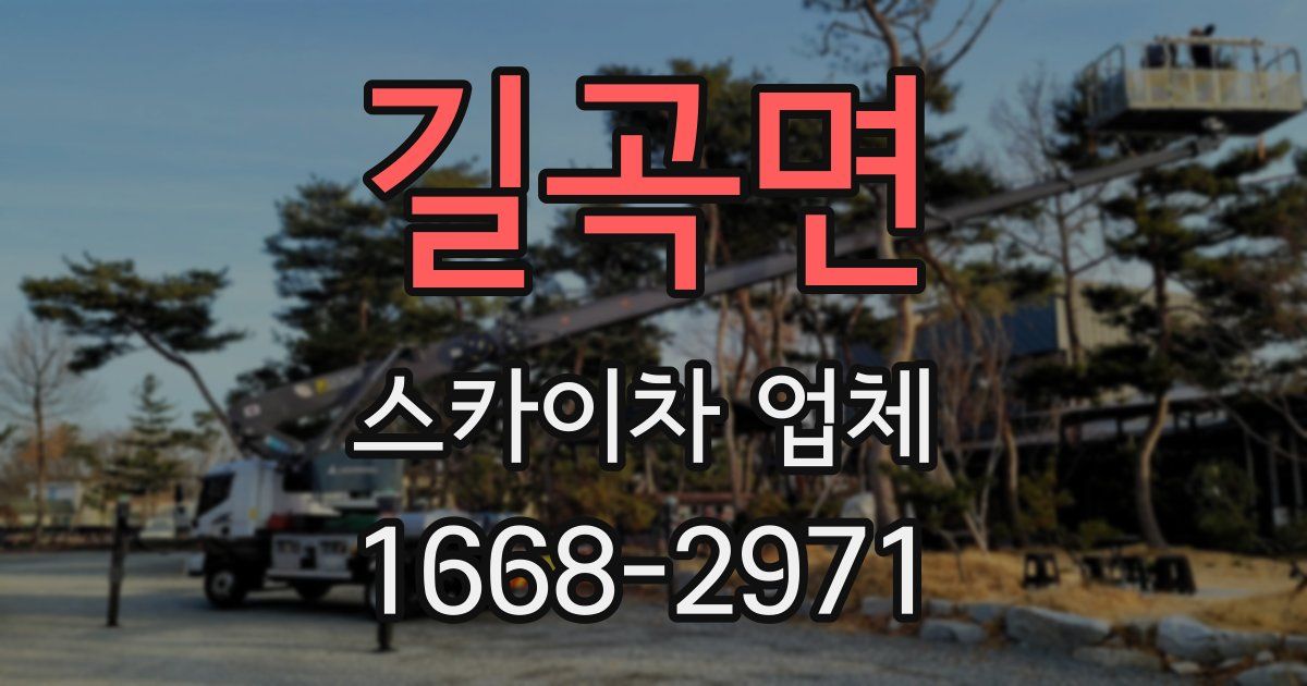 길곡면 스카이차 업체