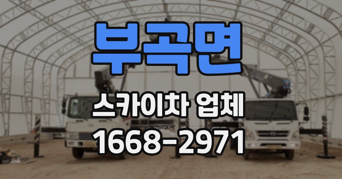 부곡면 스카이차 업체