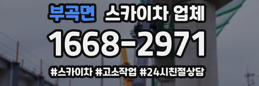 부곡면 스카이차 업체
