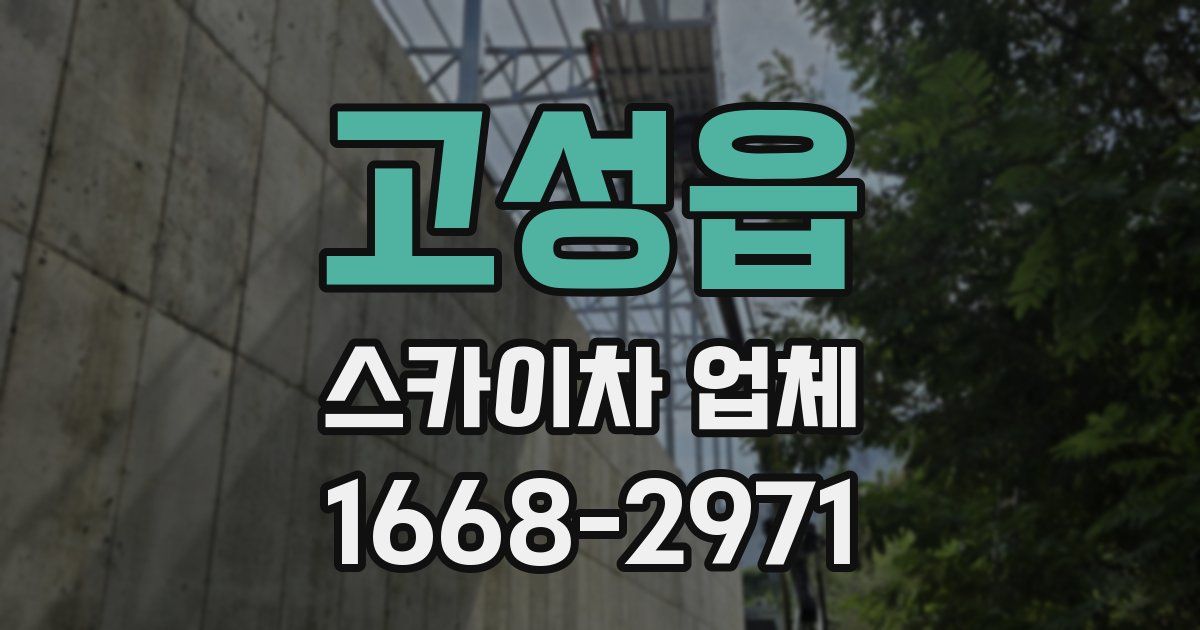 고성읍 스카이차 업체