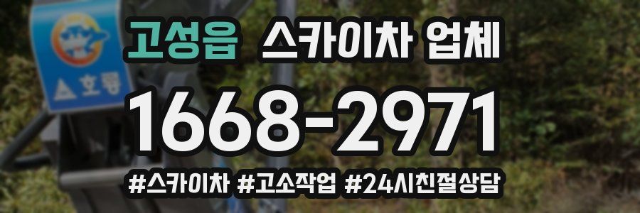 고성읍 스카이차 업체