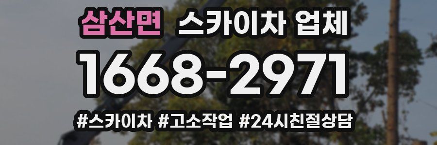 삼산면 스카이차 업체