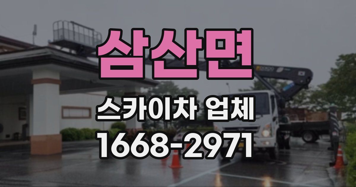 삼산면 스카이차 업체