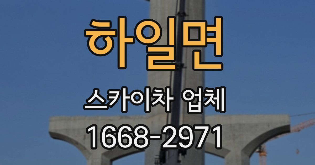 하일면 스카이차 업체
