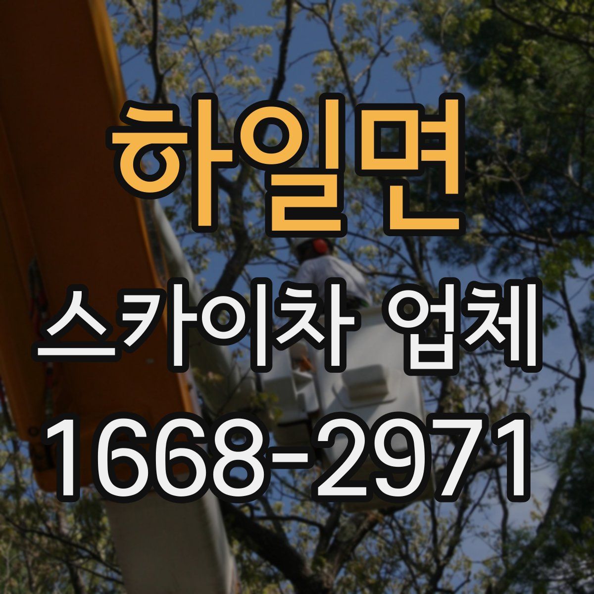 하일면 스카이차 업체