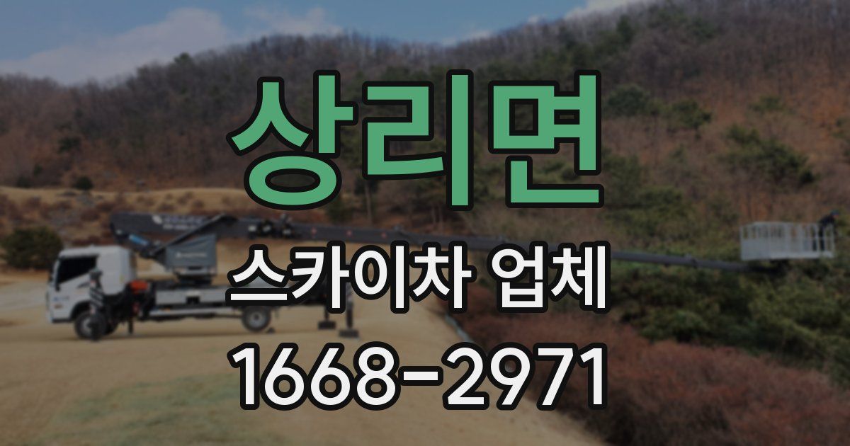 상리면 스카이차 업체