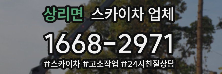 상리면 스카이차 업체