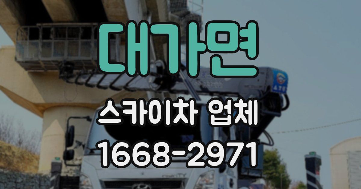 대가면 스카이차 업체