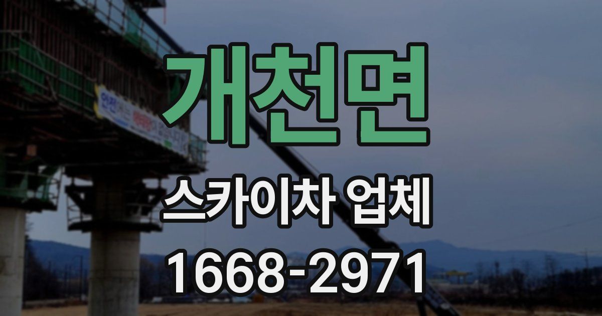 개천면 스카이차 업체