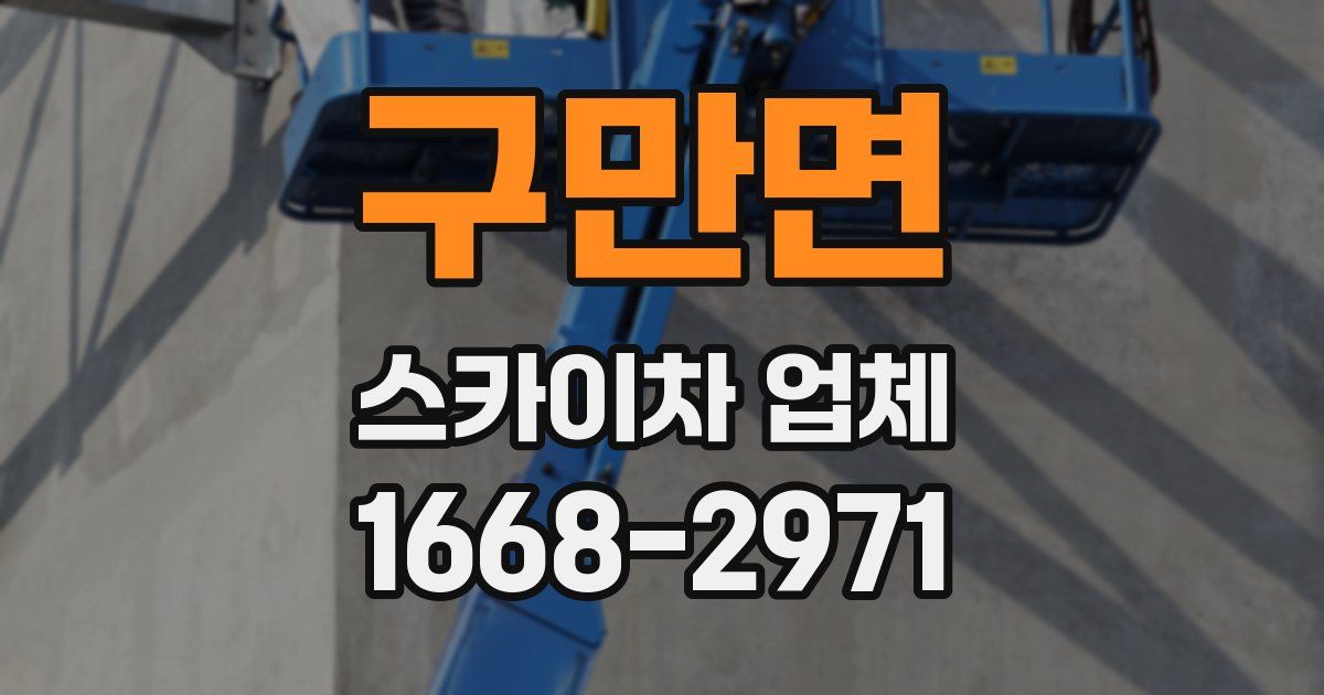구만면 스카이차 업체