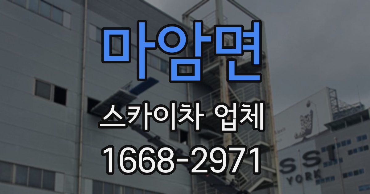 마암면 스카이차 업체