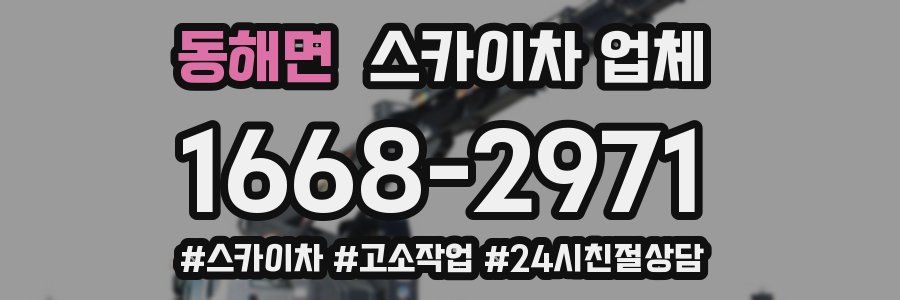 동해면 스카이차 업체