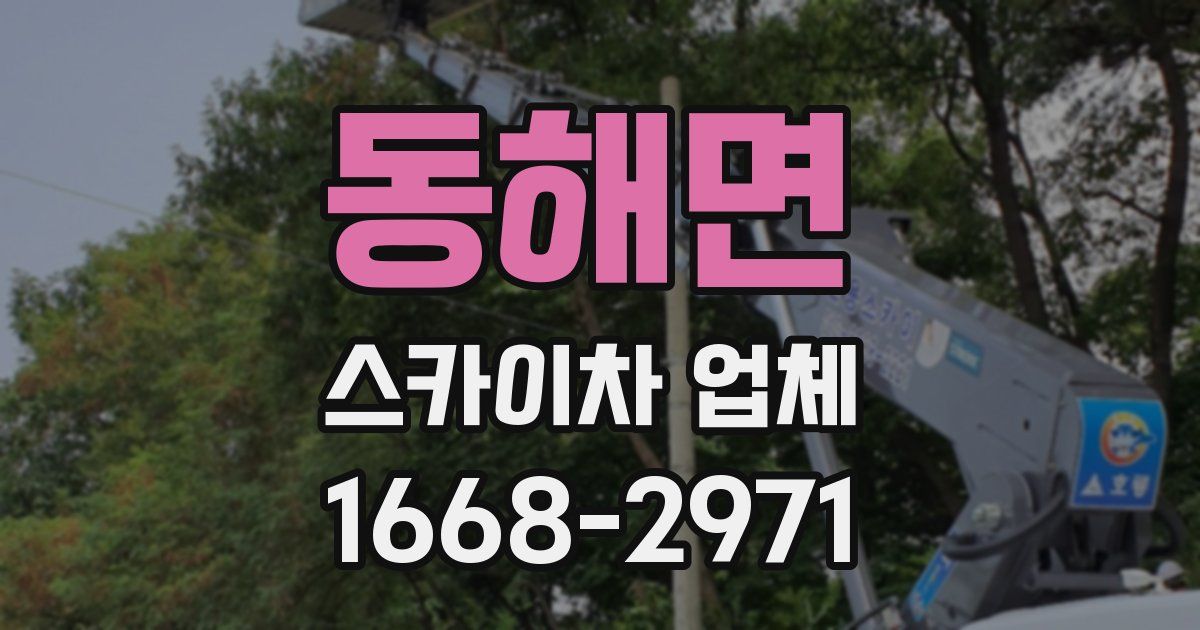 동해면 스카이차 업체