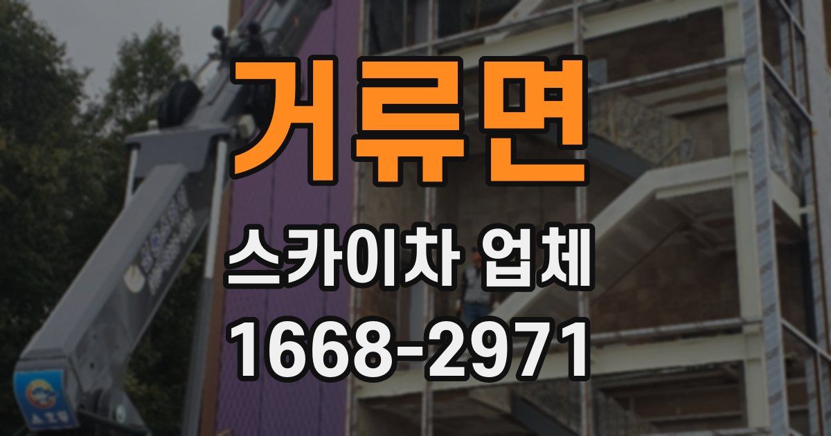 거류면 스카이차 업체