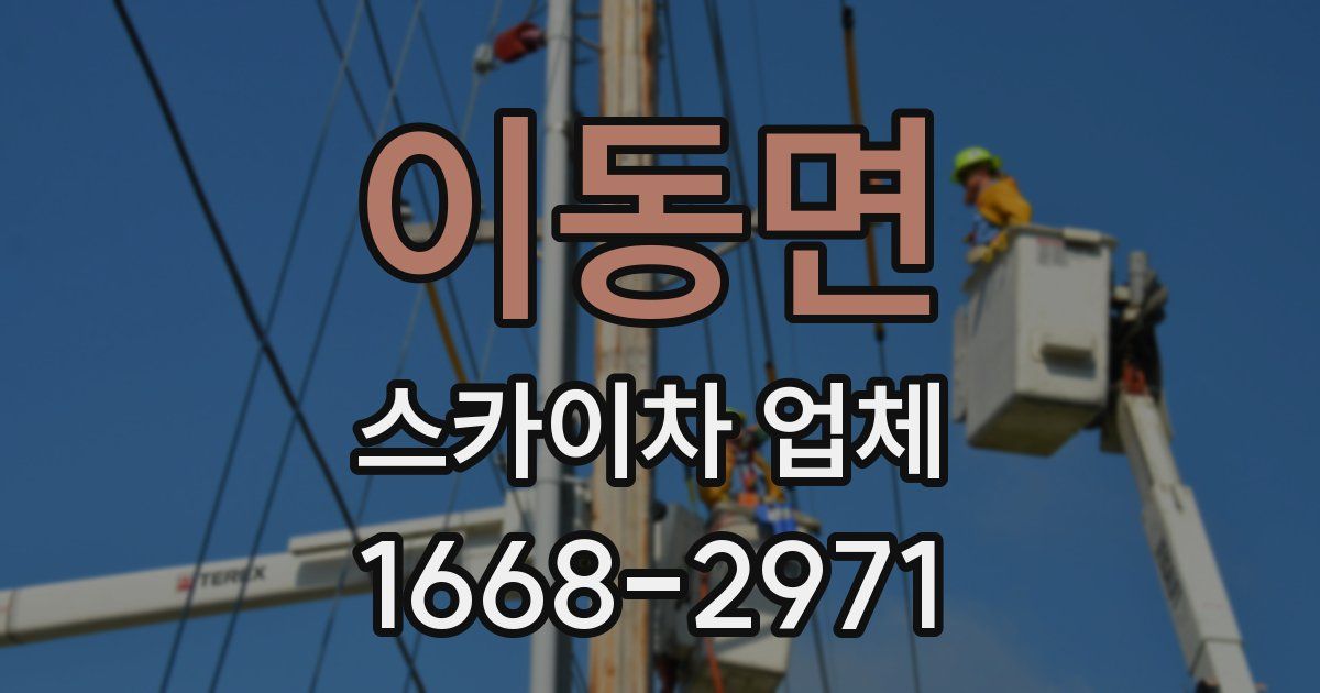 이동면 스카이차 업체