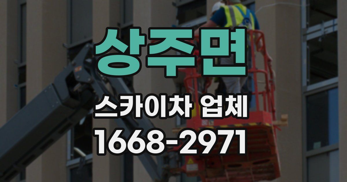 상주면 스카이차 업체