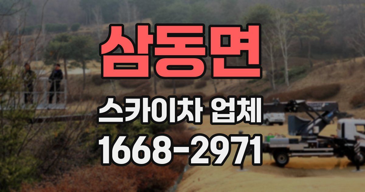 삼동면 스카이차 업체