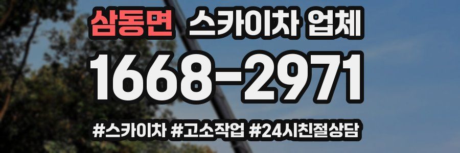 삼동면 스카이차 업체