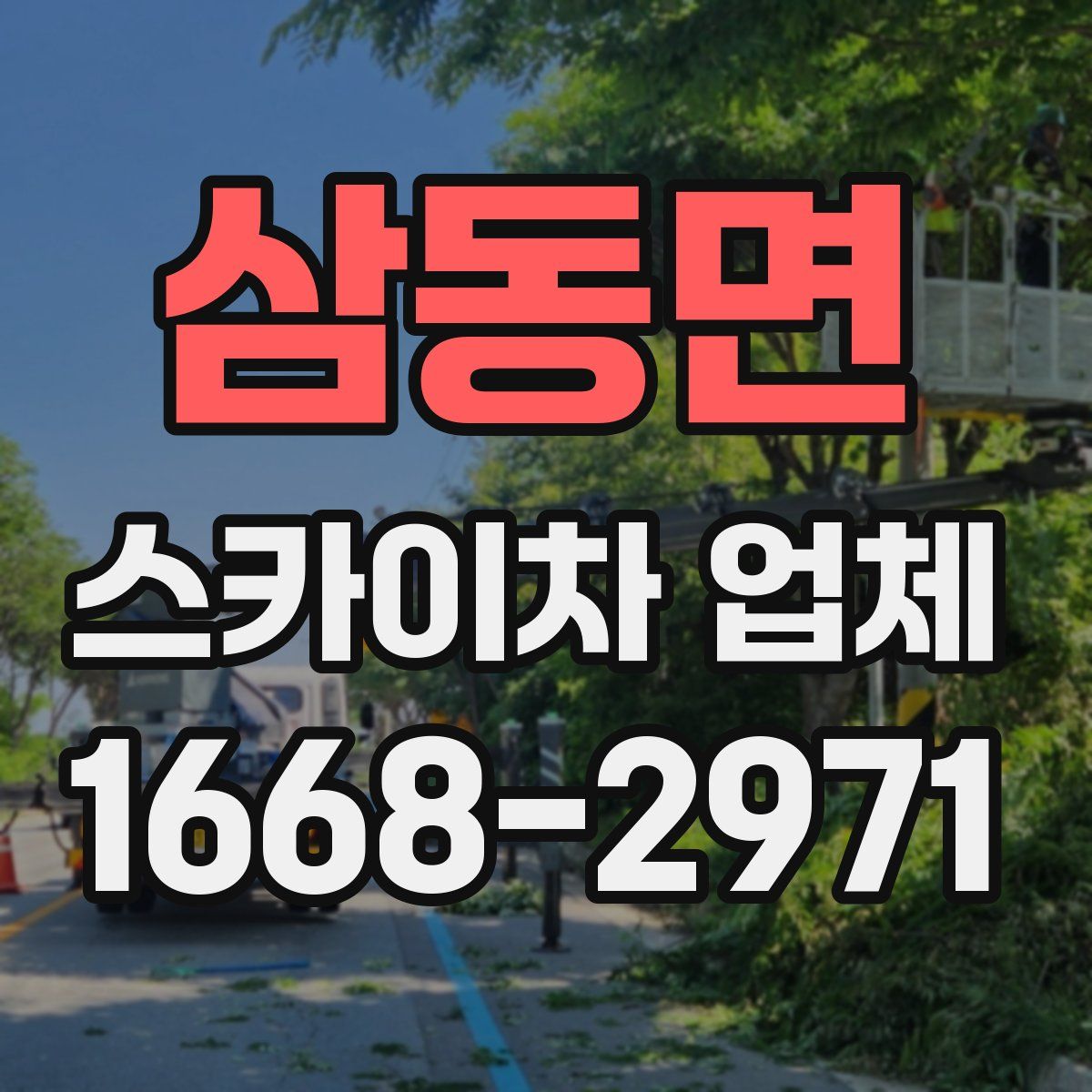삼동면 스카이차 업체
