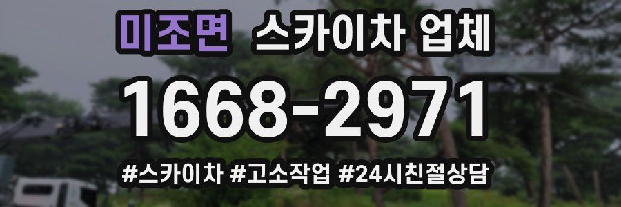 미조면 스카이차 업체
