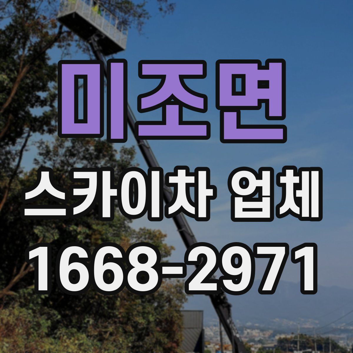 미조면 스카이차 업체
