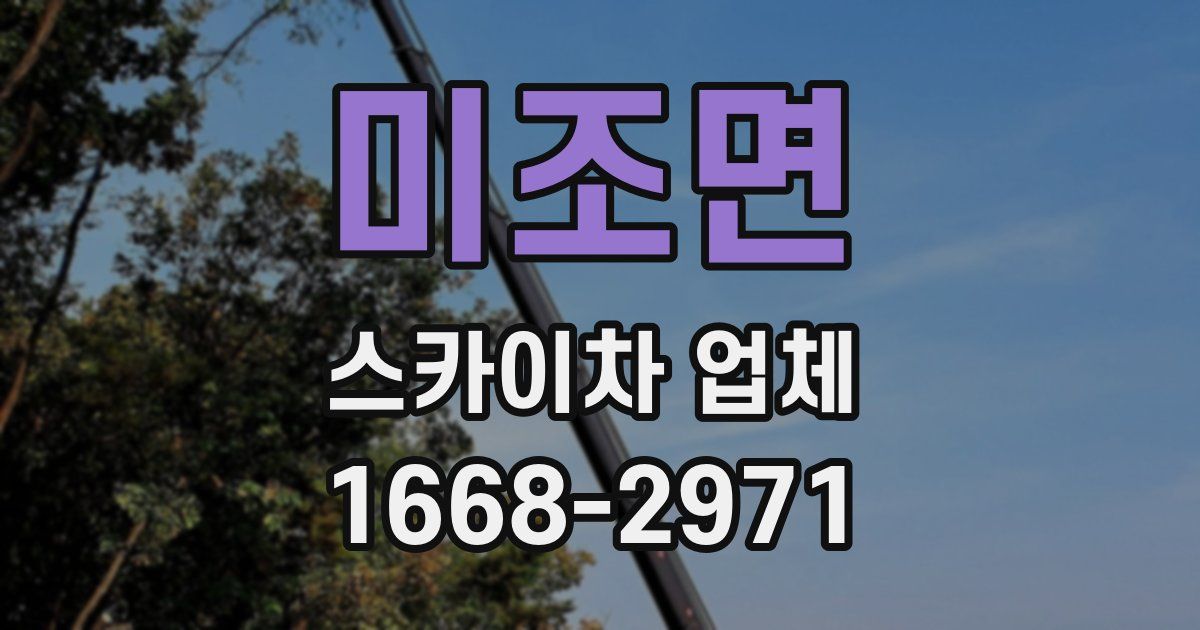 미조면 스카이차 업체