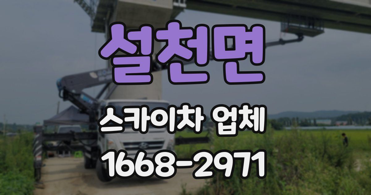 설천면 스카이차 업체