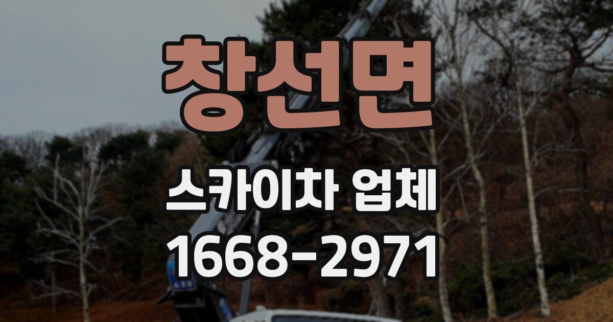 창선면 스카이차 업체