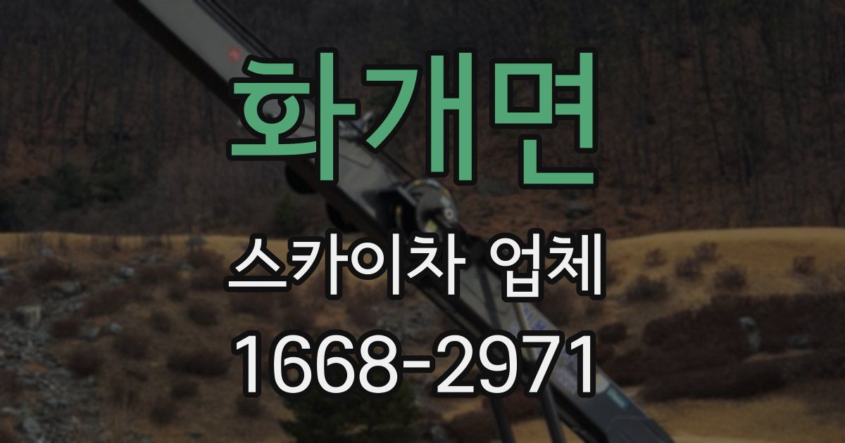 화개면 스카이차 업체