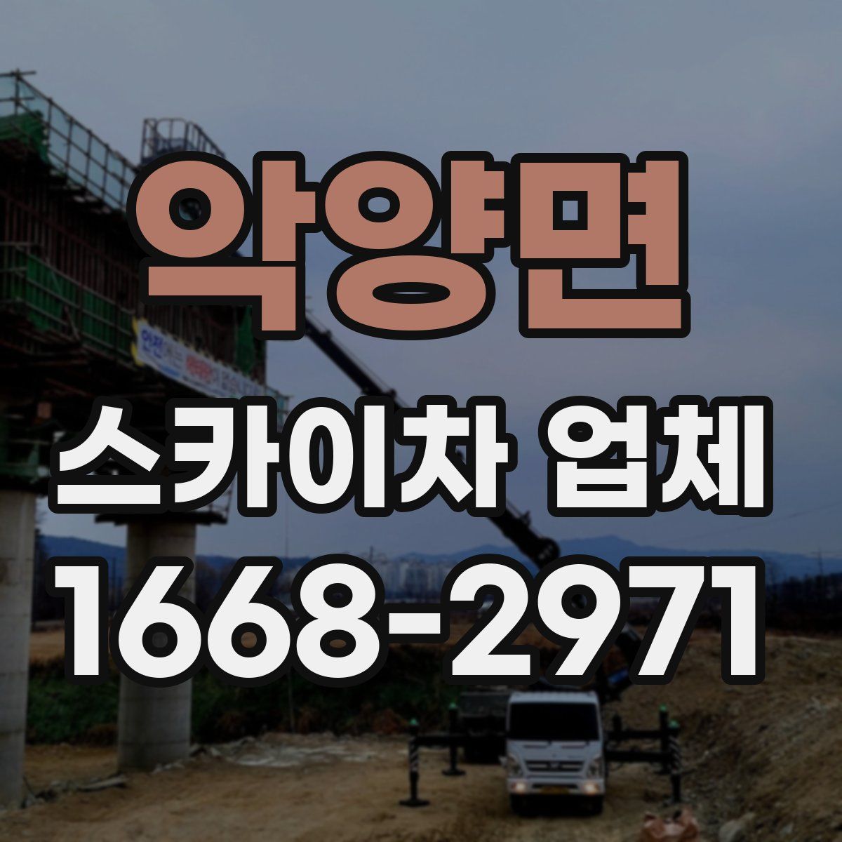 악양면 스카이차 업체