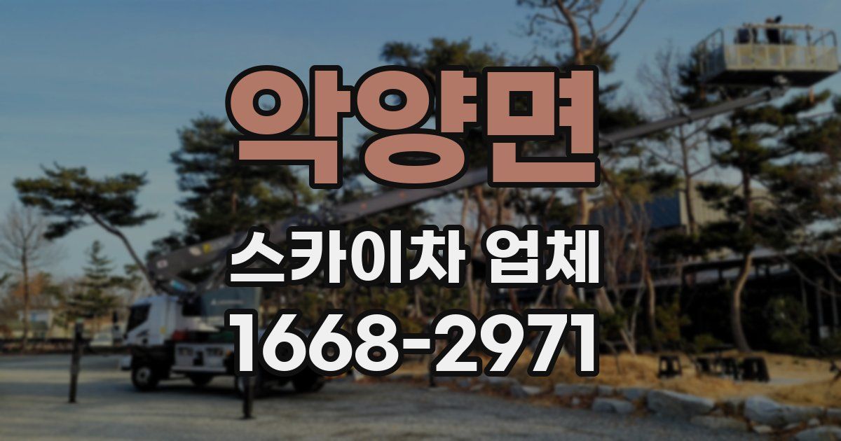 악양면 스카이차 업체