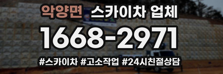 악양면 스카이차 업체