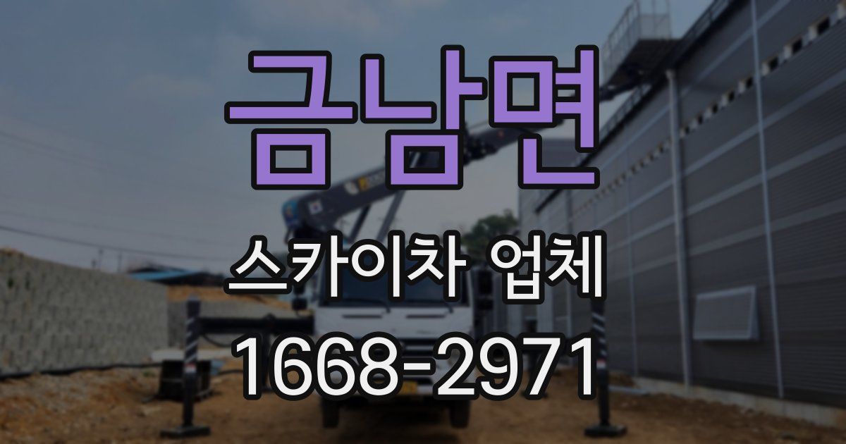 금남면 스카이차 업체