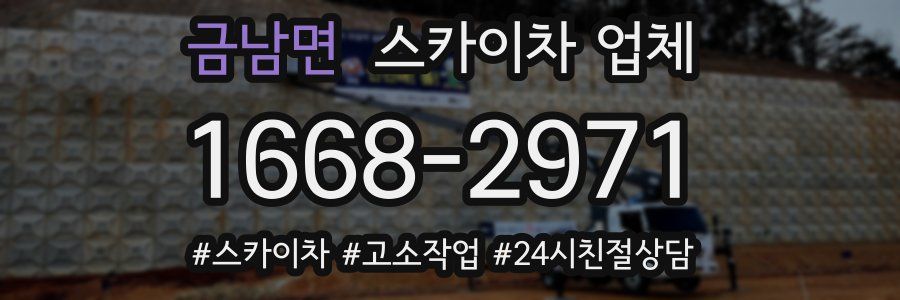 금남면 스카이차 업체
