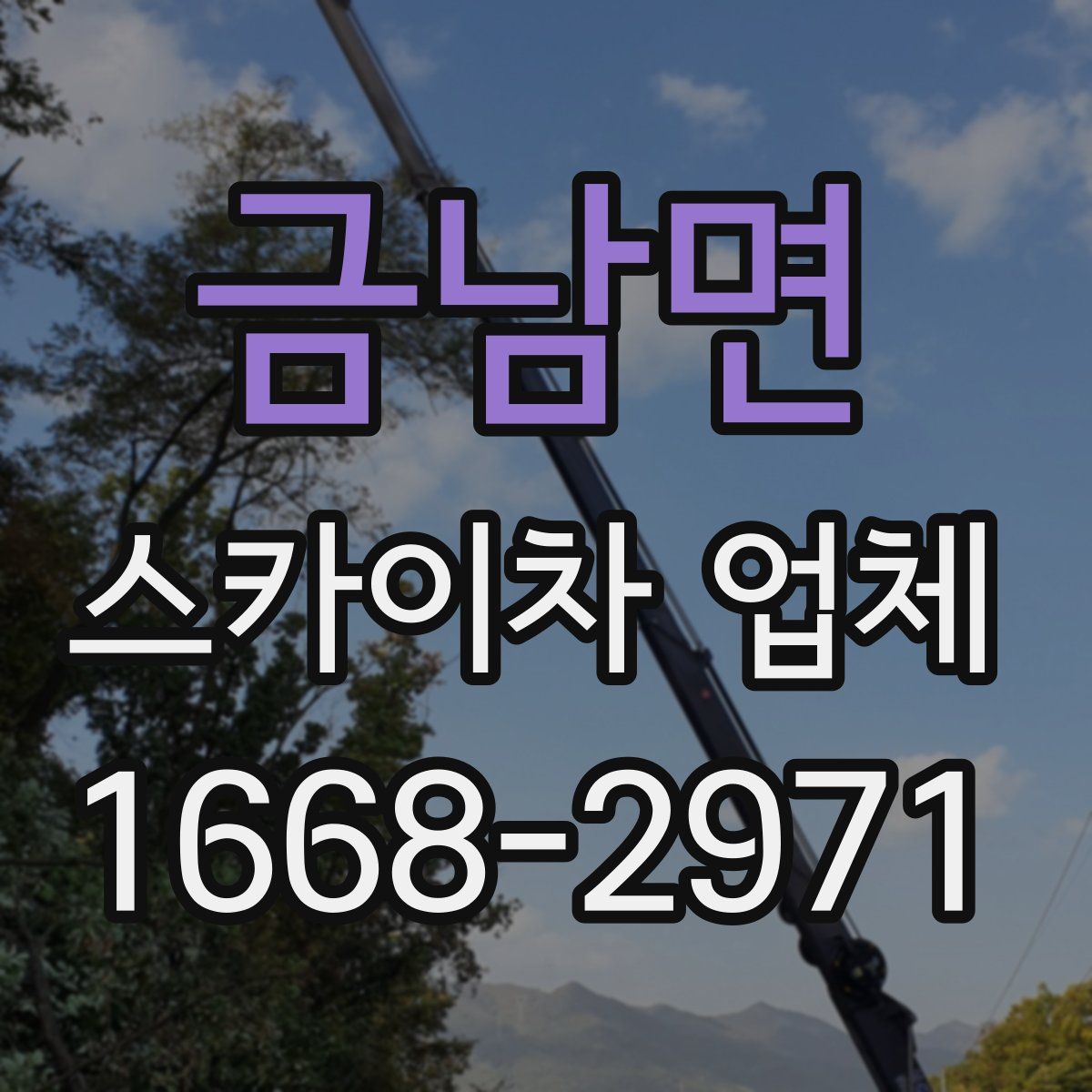 금남면 스카이차 업체