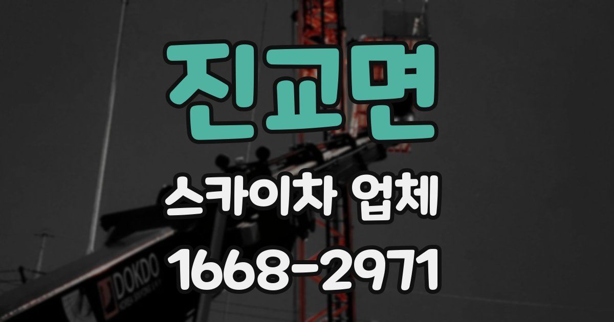진교면 스카이차 업체