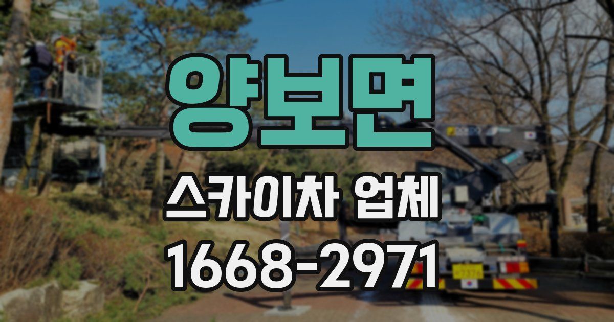 양보면 스카이차 업체