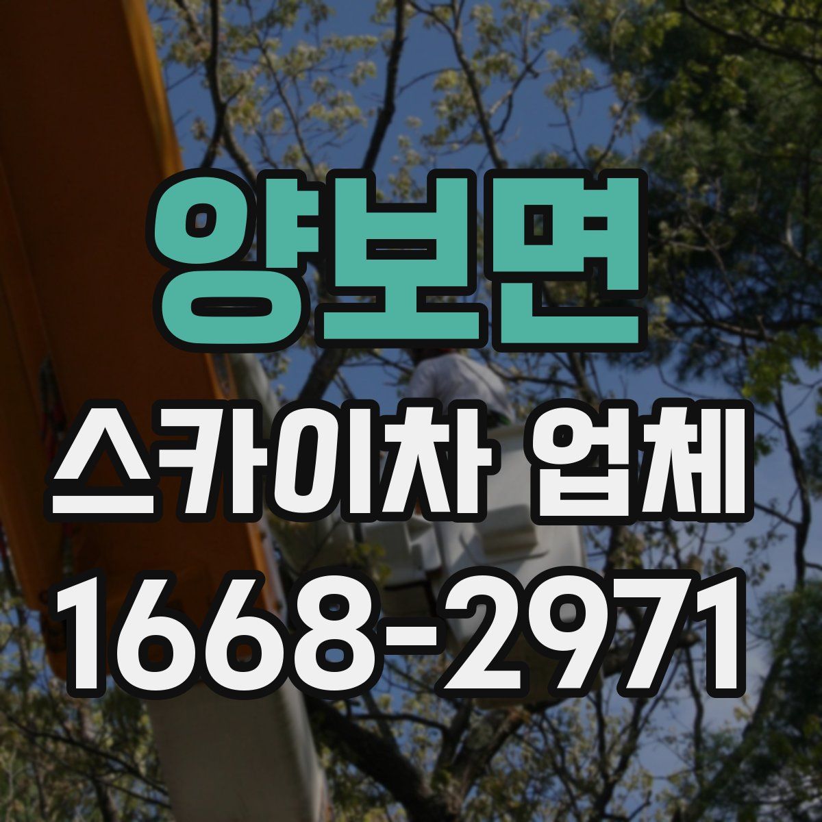 양보면 스카이차 업체