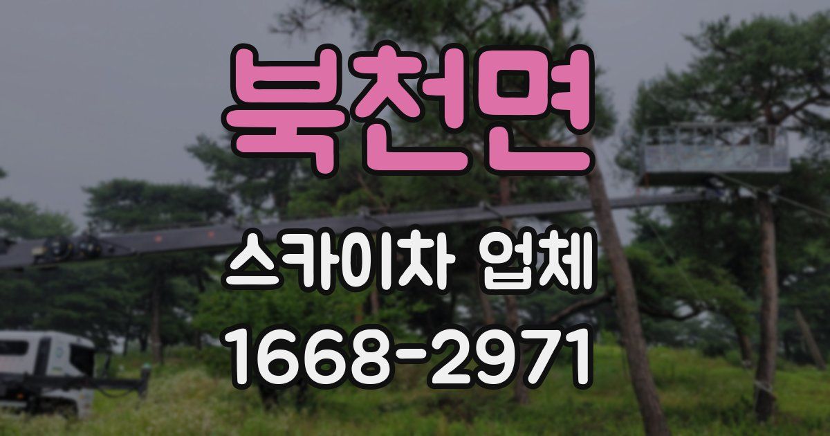 북천면 스카이차 업체