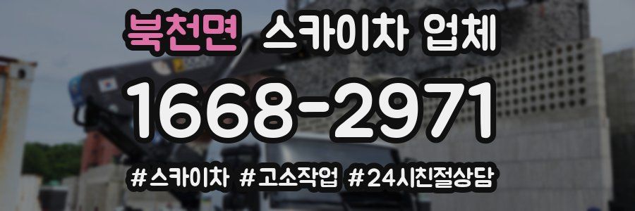 북천면 스카이차 업체