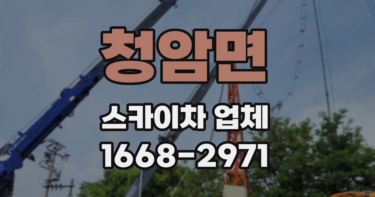 청암면 스카이차 업체
