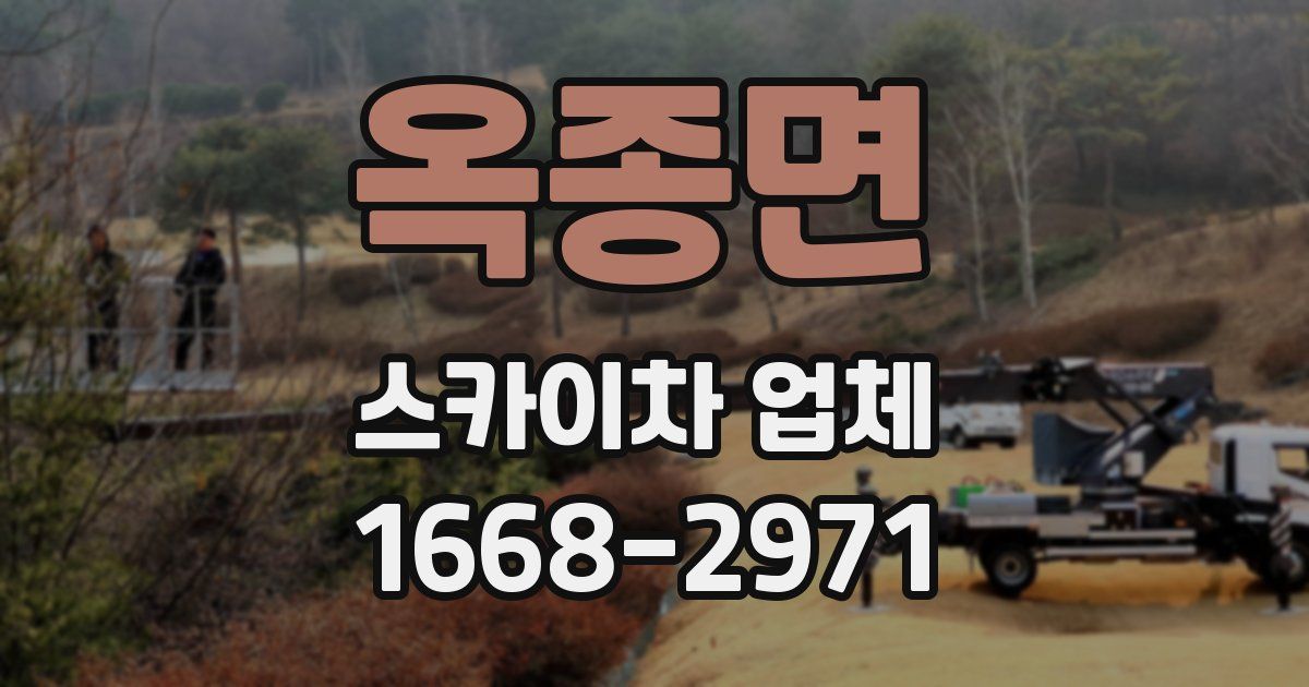 옥종면 스카이차 업체