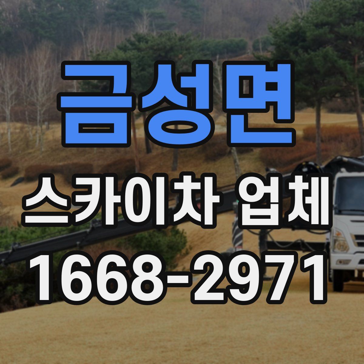 금성면 스카이차 업체